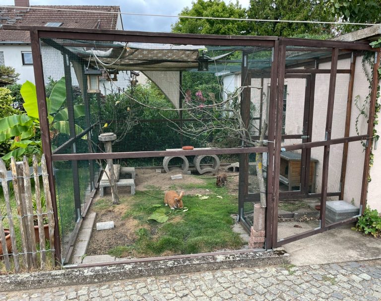 Kaninchenauslauf mit Gras, Netz und einem kleinen Häuschen.